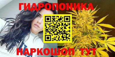 соль ск Павлово